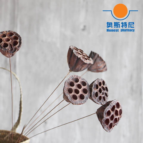 5pcs dried naturally flower bouquets small size naturally dired lotus seedpod&seedpod of the lotus without seed ► Photo 1/6