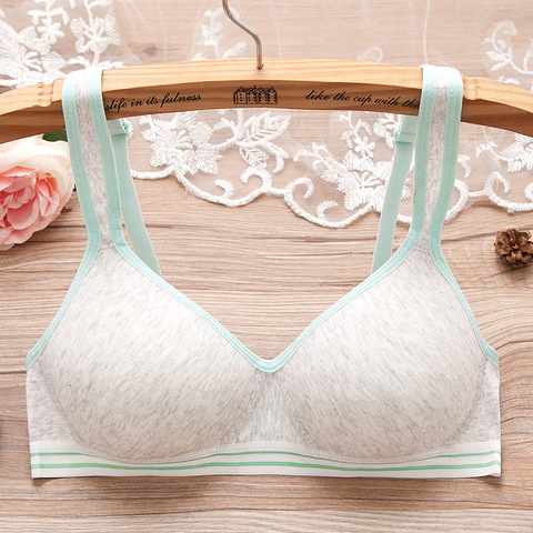 Student Young Girls First Wireless Training Bra Teenage Girl Underwear Teen  Children Thin Cup Bra 12-18Y Youth Small Breast Bra - Price history &  Review, AliExpress Seller - Shop5051444 Store