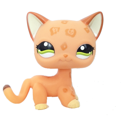 pet shop lps toys short hair cat #1120 orange spotted leopard cheetah kitty real rare animal standing toys for children ► Photo 1/1