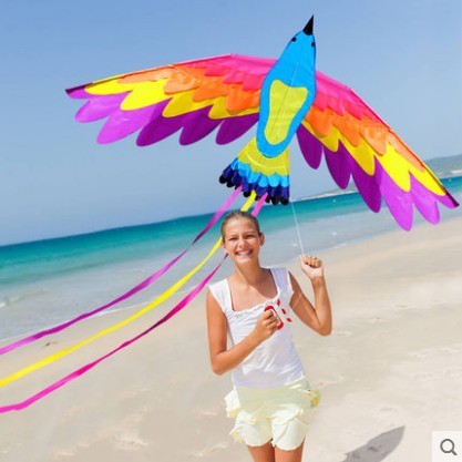 New High Quality Outdoor Fun Sports Kites For Kids And Adults Large Easy Flyer Bird Kites With String And Handle ► Photo 1/3