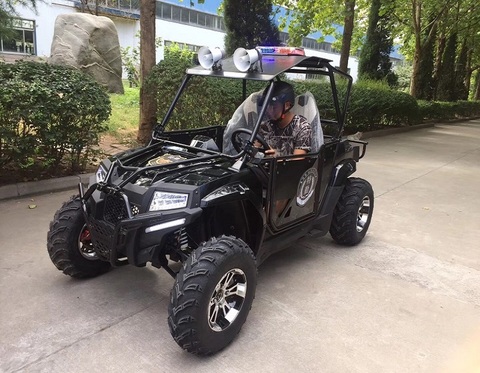 Hot Sell UTV With Rated Displacement 400cc Driving 4*2 (Pirce is negotiable) ► Photo 1/1
