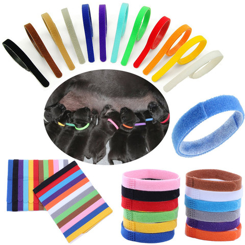 12 Colors Identification ID Collars Bands Whelp Puppy Kitten Dog Pet Cat Velvet Practical Puppy ID Collar Dropship ► Photo 1/4