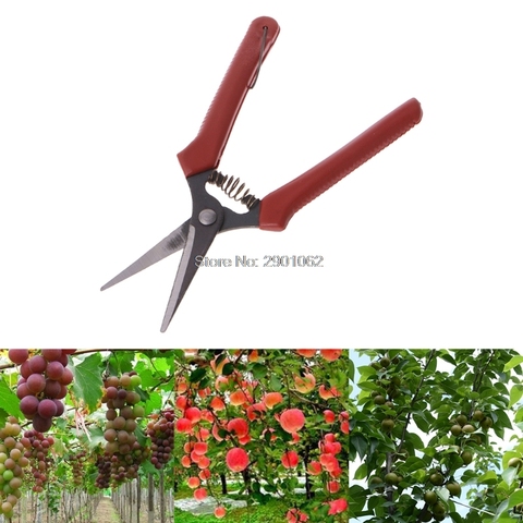 Free postage Carbon Steel Head Gardening Scissors Cutting Branch Shears Bypass Pruner  AP16 ► Photo 1/6