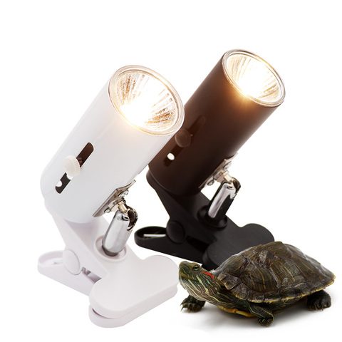 UVA+UVB Pet Reptile Lamp Kit Clip-on Ceramic Light Holder Turtle Basking UV Heating Lamp Set Tortoises Lizard Lighting 220V ► Photo 1/6