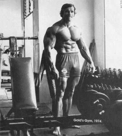 Living room home wall decoration fabric poster Arnold Schwarzenegger Bodybuilding Bodybuilder barbell dumbbells gyms athletic ► Photo 1/2