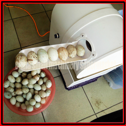 goose egg cleaning machine/chicken egg washer