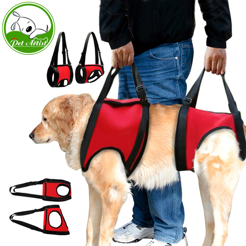Dogs Front Carrier Lift Harness Dogs Lift Support Rehabilitation Harness Helping Support for Elderly or Arthritis Dogs ► Photo 1/6