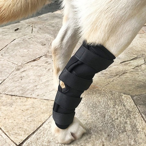 Knee Brace For Dogs Rear Dog Compression Rear Joint Wrap Protects Wounds Prevent Arthritis Injury ► Photo 1/6