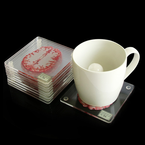 10Pieces/Set 3D Organ Brain Specimen Coasters Set Drinks Table Coaster Brain Slices Square Acrylic Glass  Drunk Scientists Gift ► Photo 1/6