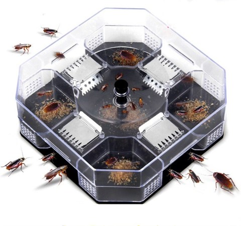 1PC Non-Toxic Cockroach Trap Roach Killer Catcher Physical Capture  Reusable Safety for Kids and Pets Eco-Friendly Control Bait ► Photo 1/6