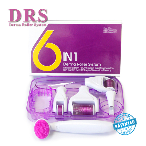 Original DRS 6 in 1 Derma Roller Microneedle Kits for Multiple skin care treatment CE certificate Proved ► Photo 1/6