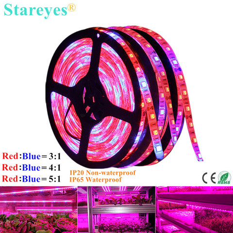 1 Roll SMD 5050 5m LED Strip Grow light Full Spectrum LED Flower Plant Phyto Growth lamp For Greenhouse Hydroponic Plant Growing ► Photo 1/6