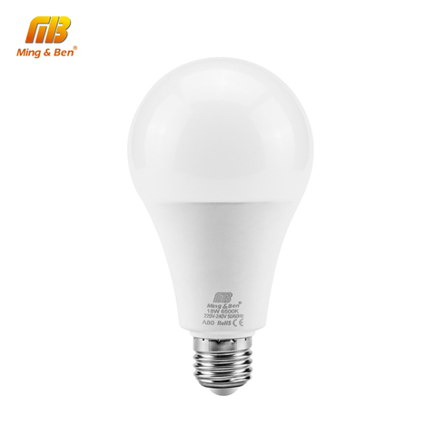No Flicker LED Bulb Lamp E27 E14 220V Light Bulb Smart IC Real Power3W 5W 7W 9W 12W 15W 18W High Brightness Lampada LED Bombilla ► Photo 1/6