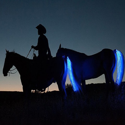 Horse Equipment Riding Tail Trappings Equestrian LED Flashing Light Bar Harness Outdoor Sports USB Charge Riding Decorations ► Photo 1/6