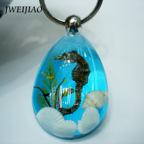 JWEIJIAO Water Drop Type Resin Stone Crystal Natural Shell Sea Horse Pendant Small Ornament Keychains  N0016 ► Photo 1/4