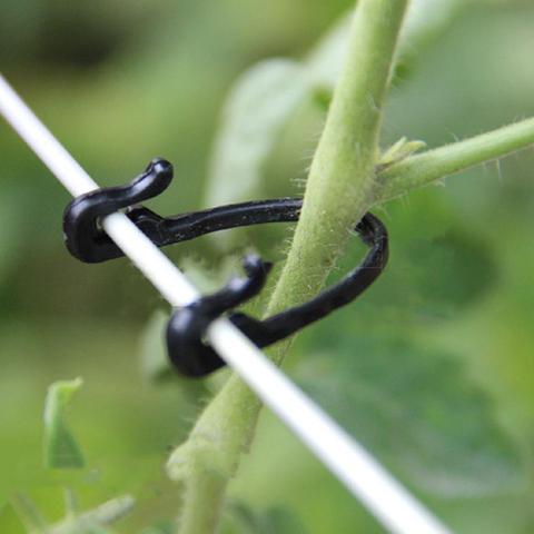 100PCS Vines Fastener Tied Buckle Hook Plant Vegetable Grafting Clips Agricultural Greenhouse Supplies ► Photo 1/6