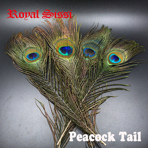 Royal Sissi 10pcs Natural Peacock Tail feathers with big eye fly tying long tail Feather fresh bright peacock herls and quills ► Photo 1/6