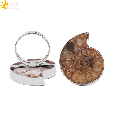 CSJA Resizable Women Men Glossy Real Ammonite Conch Sea Shell Flat Natural Fossils Stone Classic Ring for Jewellery Set E251 ► Photo 1/6