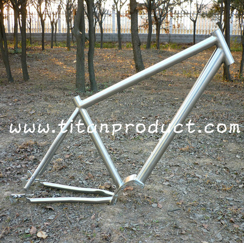 Titanium MTB Frame with Pinion gearbox ► Photo 1/2