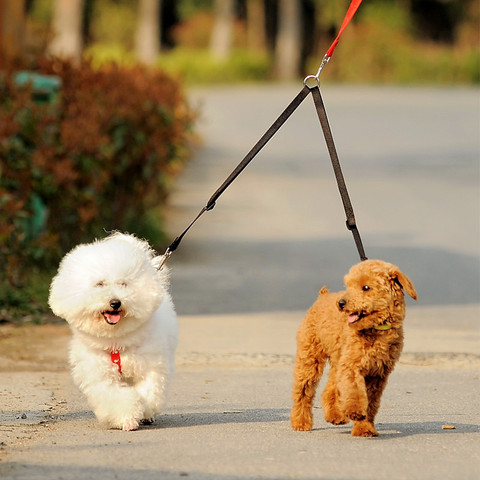 WALK 2 Two DOGS Leash COUPLER Double Twin Lead Walking Leash ► Photo 1/6