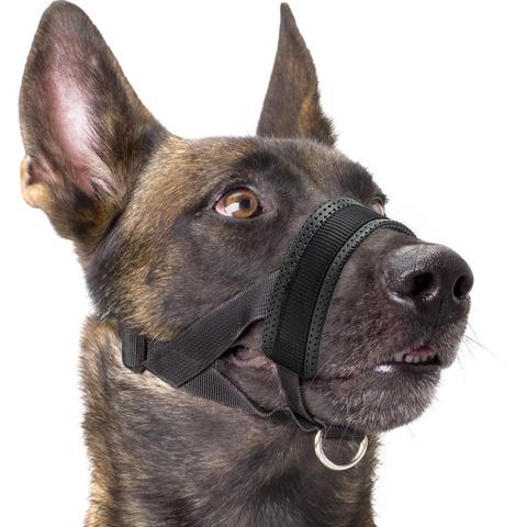 Adjustable Nylon Dog Muzzle with Soft Padding Black Household Pet Supplies ► Photo 1/6