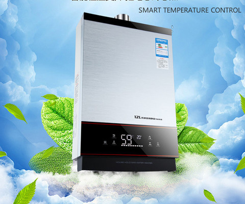 Newest  SMART Constant temperature control strong emission Type Lgp Instant / Tankless 12L Lpg Propane Gas Hot Water Heater ► Photo 1/4