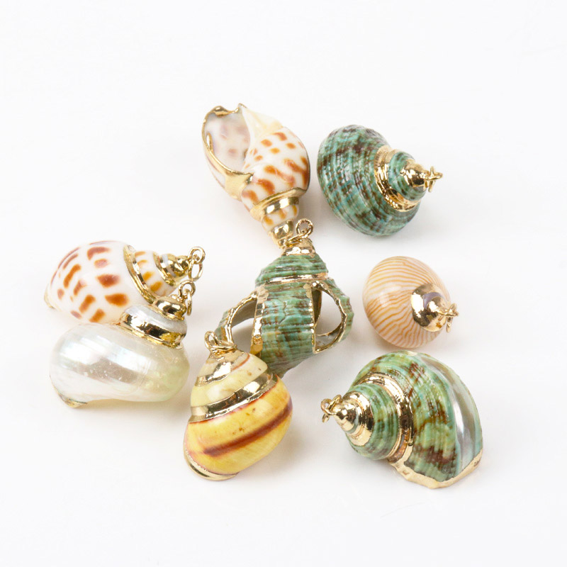 5pcs Mix colour Seashells For Crafts Accessories Home Decor DIY Jewelry  Gold Plated Natural Shell Handmade