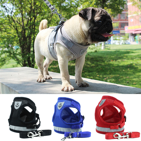 Reflective Safety Pet Dog Harness and Leash Set for Small Medium Dogs Cat Harnesses Vest Puppy Chest Strap Pug Chihuahua Bulldog ► Photo 1/6