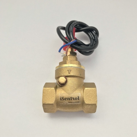 USP-FS21TA Paddle Type Flow Sensor Switch Reed Switch Brass Magnetic Sensor Switch 5-15L/min 250V DC 70W 2 wire Saier Sensor ► Photo 1/1