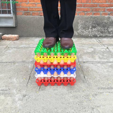 One pcs  eggs tray for chicken egg collection storage transport equipment tools poultry farm animals farming tools layers tool ► Photo 1/6