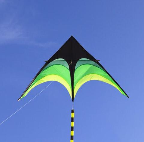 free shipping high quality large delta kites tails with handle outdoor toys for kids kites nylon ripstop albatross kite factory ► Photo 1/2