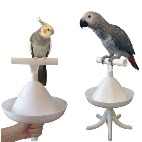 CAITEC Parrot Stand Bird Toys Portable Perch and Training Tool Light Weight Bird Stand Safe Sturdy Tool for All Sizes Parrots ► Photo 1/6