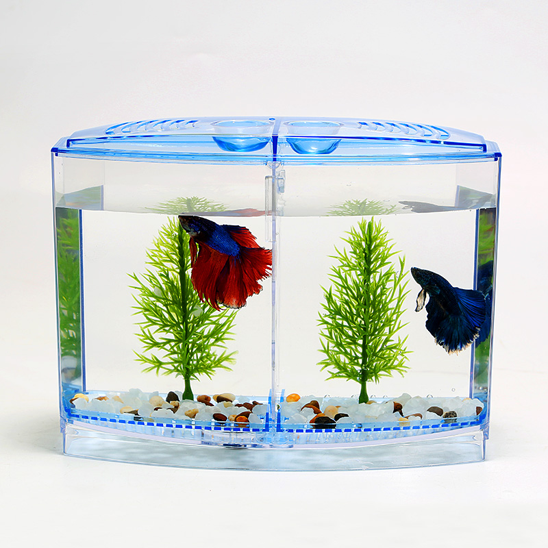 betta fish accessories Floating Hide: Create a Stress-Free, Natural Resting Spot for Yo Walter Lids A beautiful addition to an aquatic home Unique Bargains 1pc Betta Tunnel