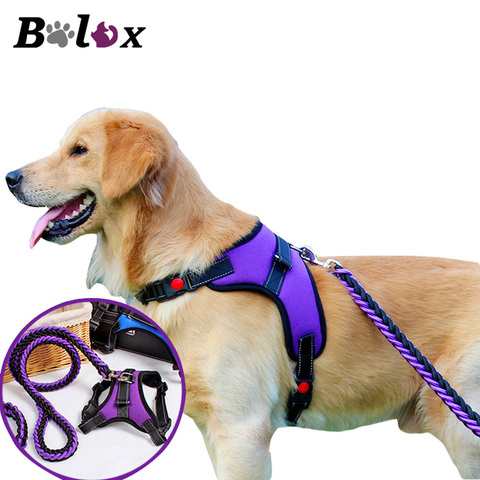 Reflective Dog Harness Leash Set Pet dog  Lead adjustable Vest Harnesses For Small Meduim Large Dogs Training Walking Perfect ► Photo 1/6