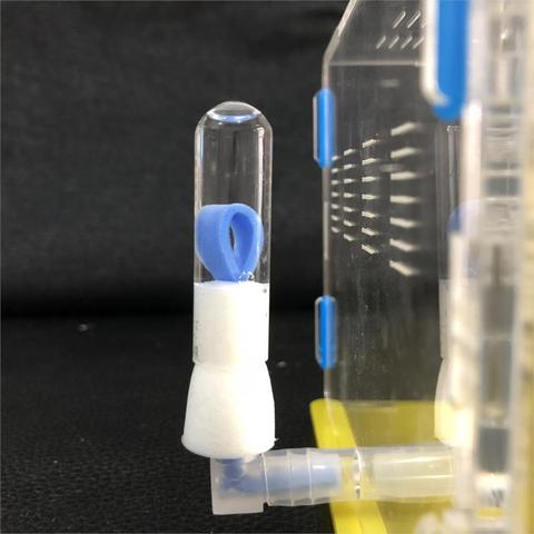 Ant Nest Water Feeder Tower Ant Workshop DIY Accessories Parts Connector Glass Tube And Sponge For One Set Ant House DIY Parts ► Photo 1/1
