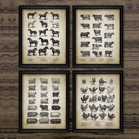 Vintage Farm Animals Poster Print Chicken Pig Sheep and Horse Wall Art Canvas Painting Retro Animal Picture Home Decoration ► Photo 1/6