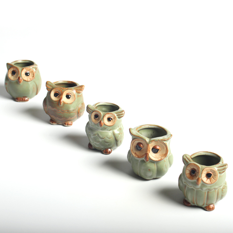 1pc Creative Ceramic Owl Shape Mini Flower Pots for Fleshy Succulent Plant Animal Style Planter Home Garden Office Decoration ► Photo 1/6