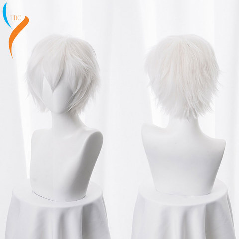 2022 wig New Gintama Gintoki Sakata Cosplay Wigs 35cm/13.8inches Short White Men Synthetic Hair Perucas Cosplay Wig ► Photo 1/6