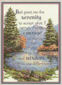 Top Quality Lovely Counted Cross Stitch Kit Serenity Courage Wisdom Prayer dim 13607 Forest Trees Tree Lake ► Photo 1/1