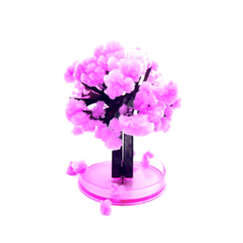 12x8cm Pink Desktop Cherry Blossom Cool Japan!ThumbsUp!Magic Japanese Sakura Tree-Brand New Made in Japan Grow Paper Trees ► Photo 1/5