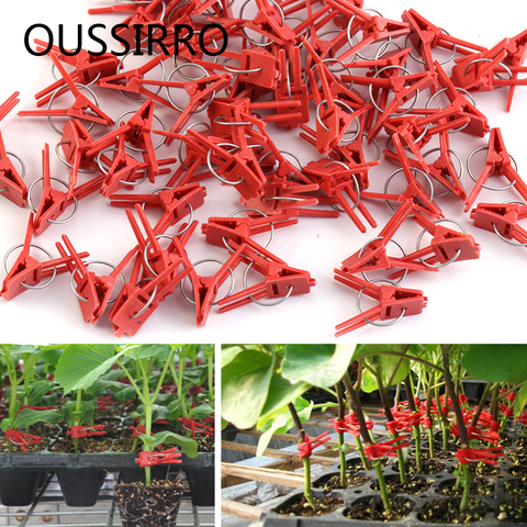 Red Plastic Grafting Clips Plant Support Clips Vine Garden Vegetables Plants Hanging Plastic Vegetables Garden Ornaments ► Photo 1/5