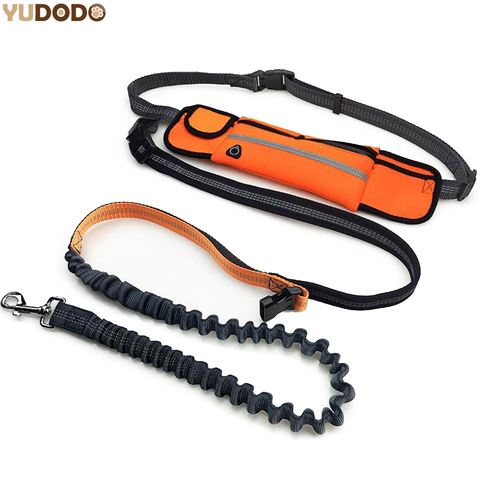 Hand Free Elastic Dog Leash Adjustable Padded Waist Reflective Running Jogging Walking Pet Lead Belt With Pouch Bags ► Photo 1/6