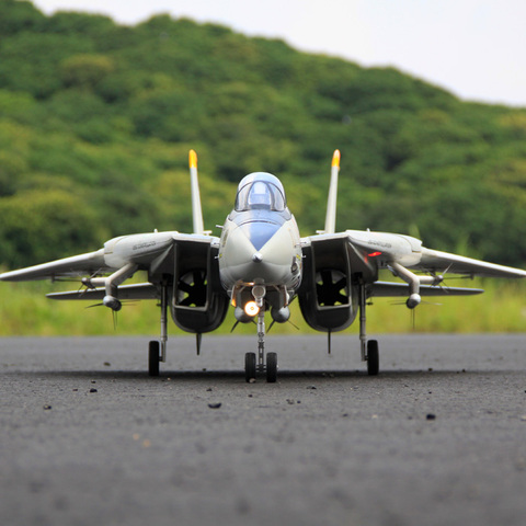 Freewing Dual 80mm rc airplane jet model F-14 Tomcat with Variable Sweep Wing KIT with servos ► Photo 1/4