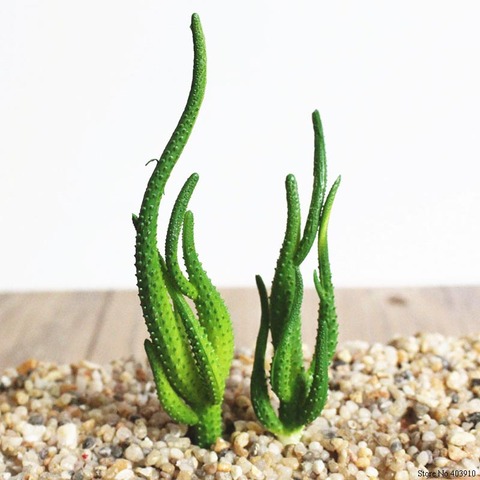 1 Set Artificial Cactus Succulents Bonsai Flowers DIY Home Decor Fake Plants Landscape Table Decorative Desert plant ► Photo 1/4