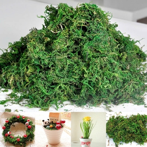 40g/bag Artificial Dried Moss Lining Decor Flower Hanging Baskets Gardening  Wedding Party DIY Decoration Crafts - Price history & Review, AliExpress  Seller - Yajia Decorative Store
