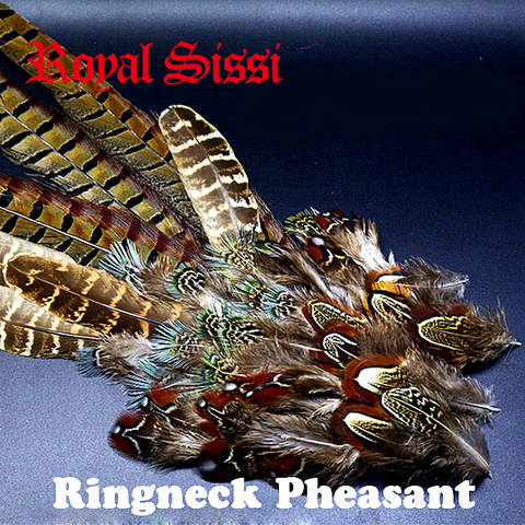 HOT 1set natural ringneck pheasant feathers assorted ringneck pheasant tails&selected saddle tippets fly tying feather materials ► Photo 1/6