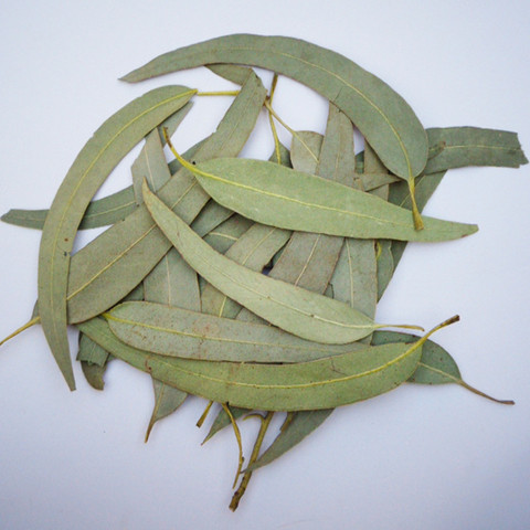 Dry Natural Fresh Preserved Eucalyptus Leaf For DIY Material,Candle Decoration Home Accessories 10g/bag ► Photo 1/4