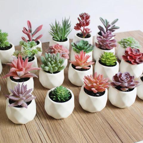 1Pc Artificial Flower Succulent Plant Bonsai DIY Garden Office Home Party Decor ► Photo 1/6