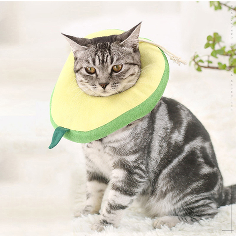 Adjustable Dog Cat Elizabethan Collar Fruit Shape Pet Protective Collar Dog Neck Recovery Anti-Bite Surgery Wound Healing Ring ► Photo 1/6