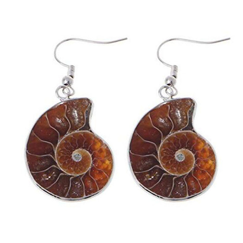 KFT Wholesale Silver Plated Natural Ammonite Fossils Irregular Reliquiae Stone Dangle Hook Earrings For Women Fashion Jewelry ► Photo 1/4